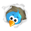 Twitter'da takip et